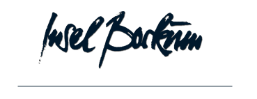 Logo-IB-klein5